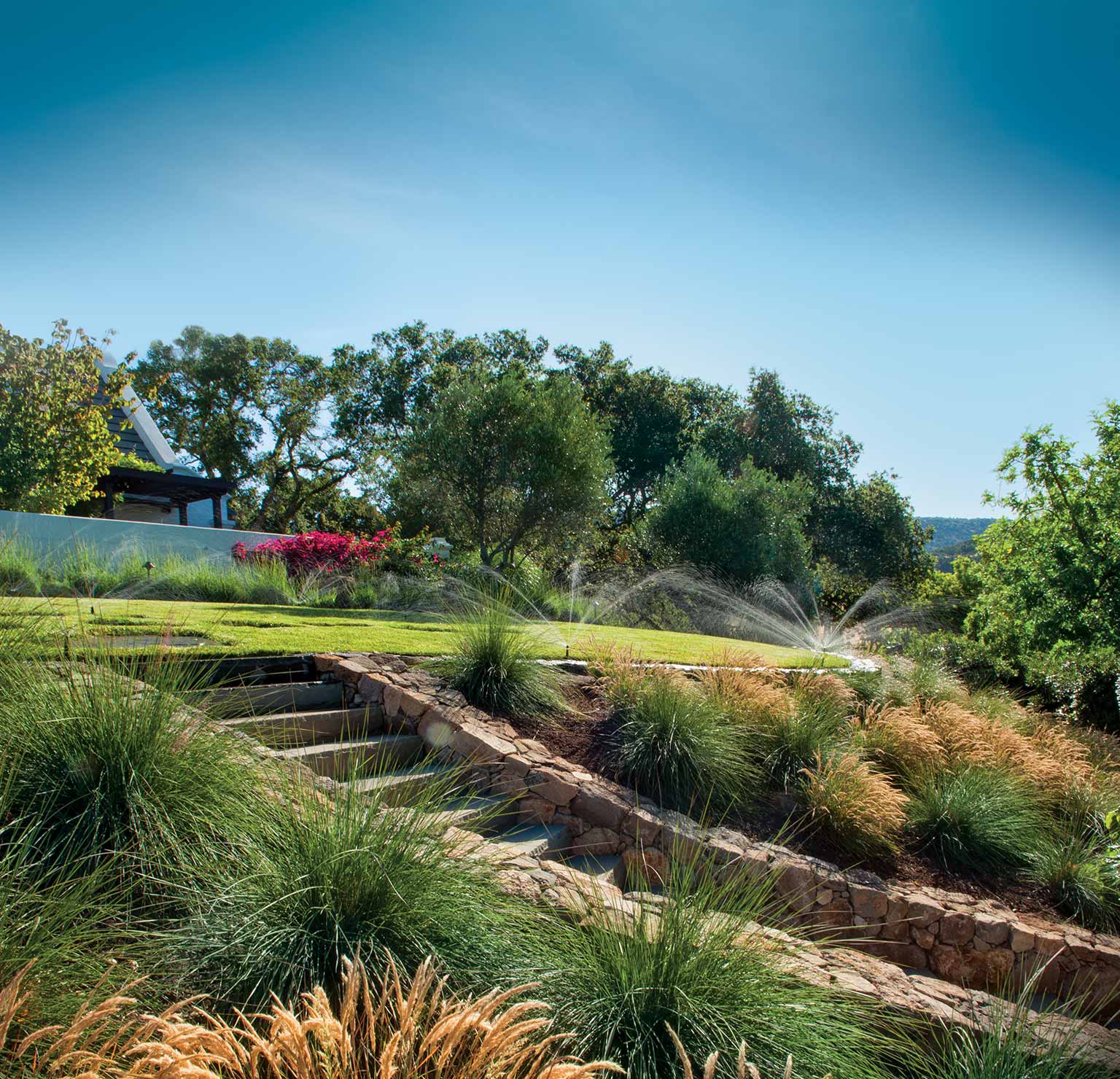 Why I Need Backflow Certification Or Testing? Doctor Sprinkler