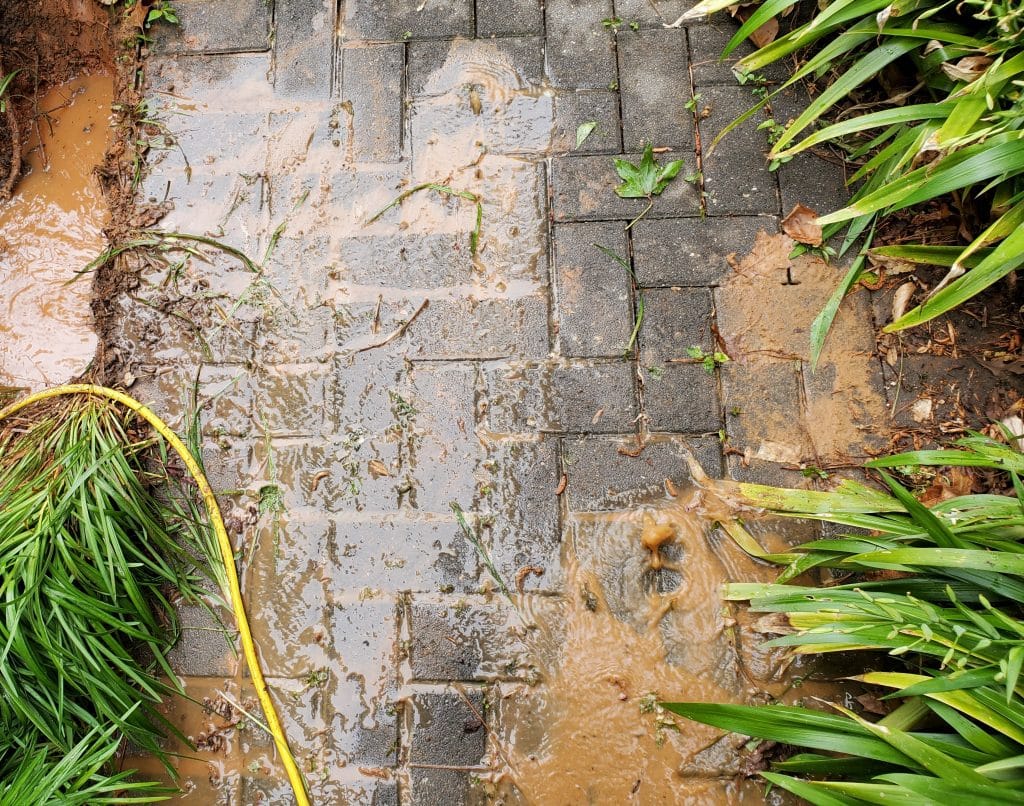 water coming up through paver sidewalk from broken irrigation pipe