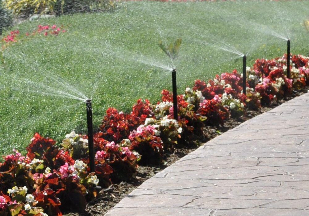 From plants to people, your property is home to a variety of life that requires plenty of thirst-quenching refreshment. However, the water that your landscaping uses shouldn't mix with the water that comes out of the tap. Doctor Sprinkler provides professional irrigation services for Raleigh, Cary, and surrounding North Carolina communities.