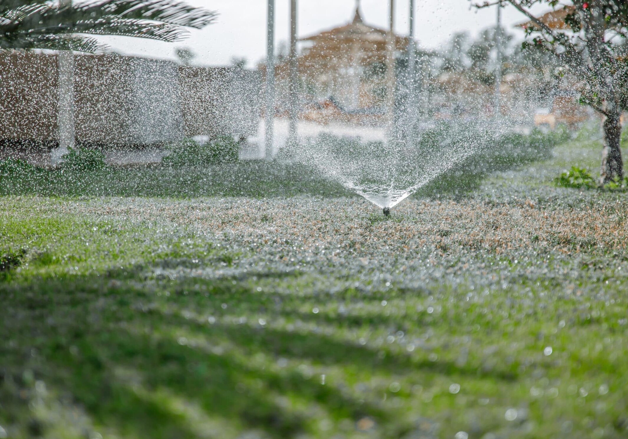 Drip irrigation is a fuss-free plant-watering method that optimizes water usage and improves plant health and yields while reducing monthly utility costs. Unlike traditional overhead sprinklers, drip irrigation systems supply water directly to the roots of your plants. The process reduces the amount of water lost to the immediate environment, such as wind and evaporation while starving opportunistic weeds that may grow around your plants. Additionally, drip irrigation methods will keep your foliage dry whole plant roots remain well hydrated. As such, drip irrigation will help prevent the infestation of destructive pests (like mildew) commonly attracted to damp and soggy conditions.