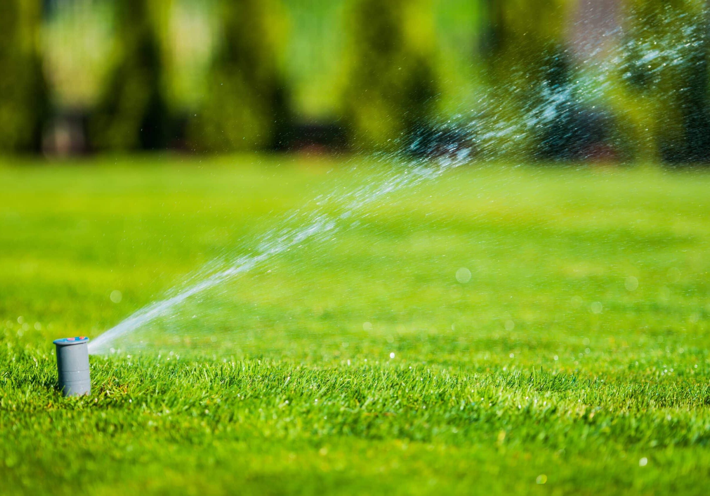 SPRINKLER & IRRIGATION SERVICE SPECIALISTS